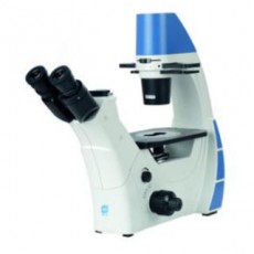 도립형 생물현미경 ICX40T